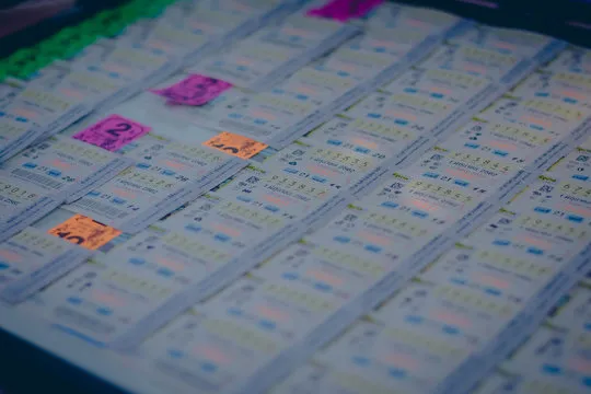 即时获取官方开奖结果